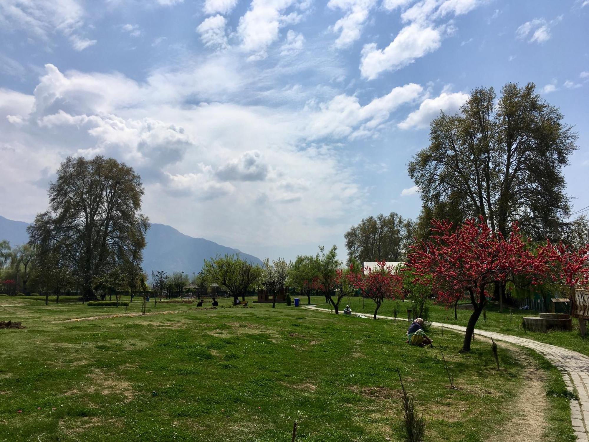 Houseboat Lily Of Nageen Hotel Srinagar  Exterior photo